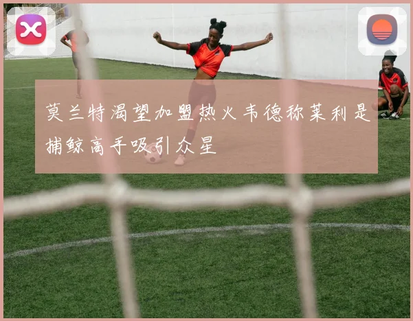 莫兰特渴望加盟热火韦德称莱利是捕鲸高手吸引众星
