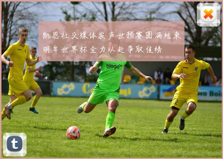 凯恩社交媒体发声世预赛圆满结束明年世界杯全力以赴争取佳绩
