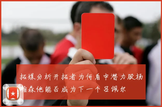 拓媒分析开拓者为何看中潜力股杨瀚森他能否成为下一个吕佩尔