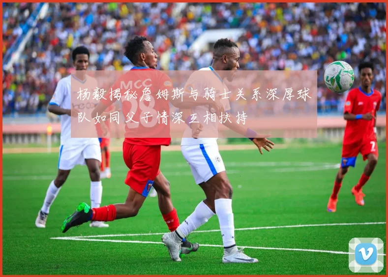 杨毅揭秘詹姆斯与骑士关系深厚球队如同父子情深互相扶持