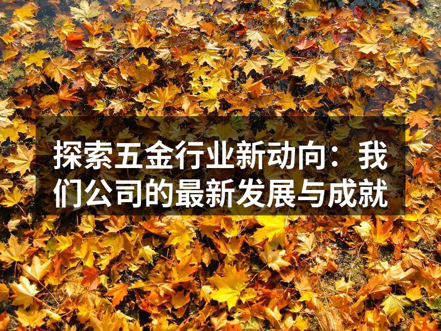 探索五金行业新动向:我们公司的最新发展与成就